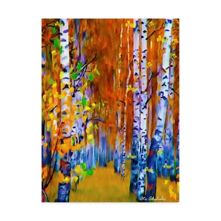 Ata Alishahi 'Autumn' Canvas Art,24x32